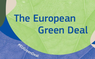 La partecipazione dei cittadini davanti alla sfida del European Green Deal: quale innovazione?