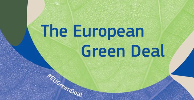 La partecipazione dei cittadini davanti alla sfida del European Green Deal: quale innovazione?